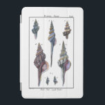 Colourful Seven Seashells iPad Mini Cover<br><div class="desc">Artist Denis Diderot is talented and known for his great sea life images. In this vivid image, he captures Seven colourful Conch seashells in their most natural and unique styles. Conches are often crackled and come in all shape and sizes. Get your seashell product today and enjoy image the ocean...</div>