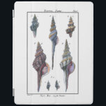 Colourful Seven Seashells iPad Smart Cover<br><div class="desc">Artist Denis Diderot is talented and known for his great sea life images. In this vivid image, he captures Seven colourful Conch seashells in their most natural and unique styles. Conches are often crackled and come in all shape and sizes. Get your seashell product today and enjoy image the ocean...</div>