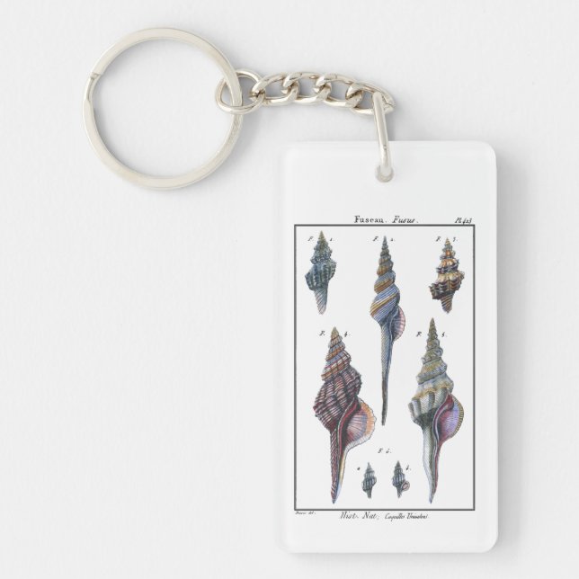 Colourful Seven Seashells Key Ring (Front)