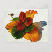 Colourful shades of autumn leaves