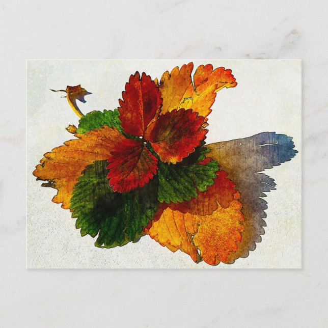 Colourful shades of autumn leaves postcard (Front)