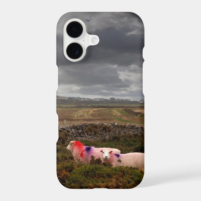 Colourful sheep (Back)