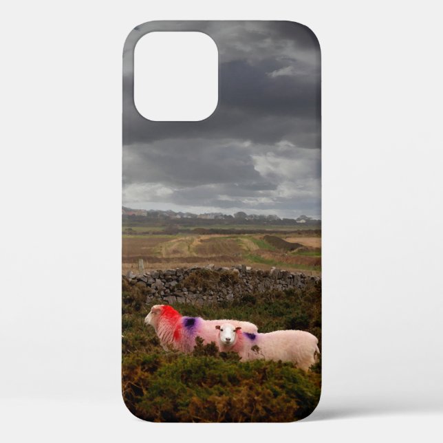 Colourful sheep Case-Mate iPhone case (Back)