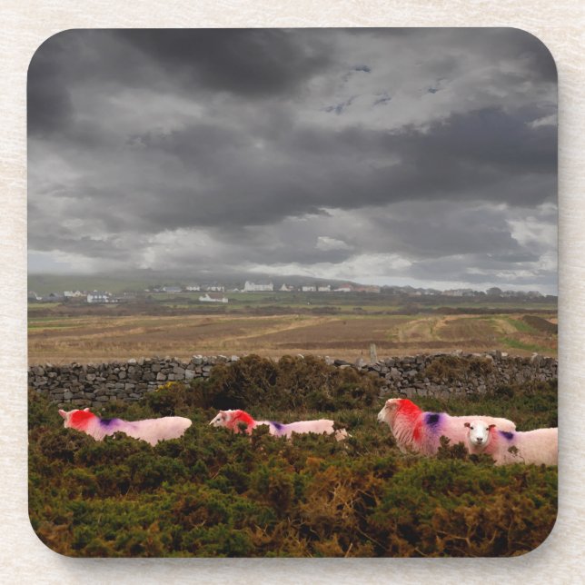 Colourful sheep coaster (Front)