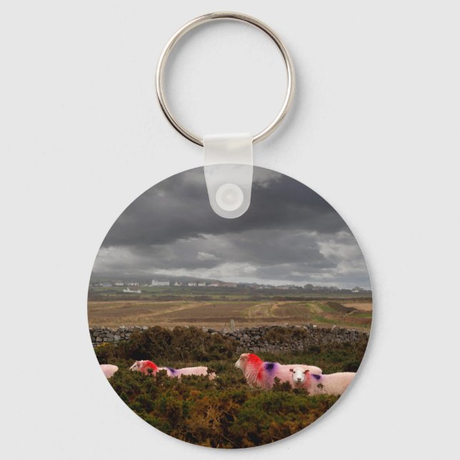 Colourful sheep key ring (Front)