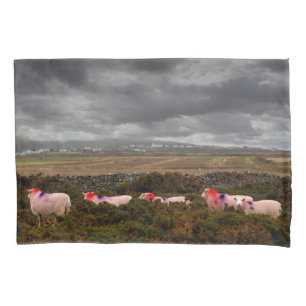 Colourful sheep pillowcase
