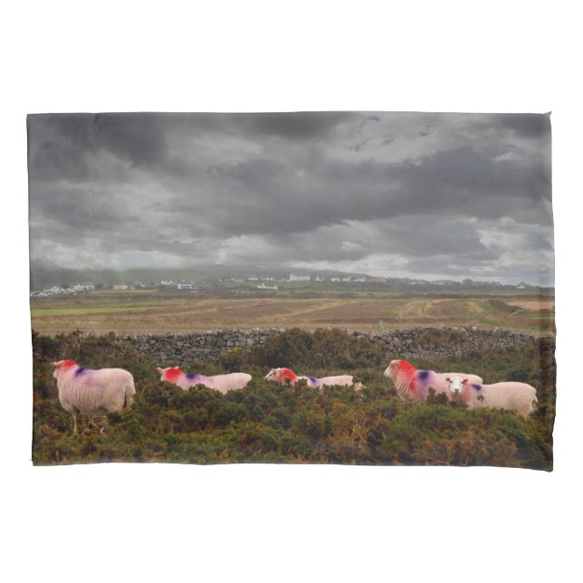 Colourful sheep pillowcase (Front)