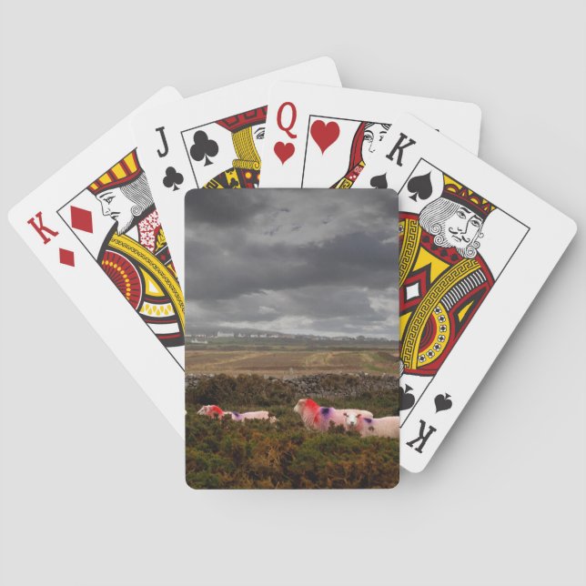 Colourful sheep playing cards (Back)
