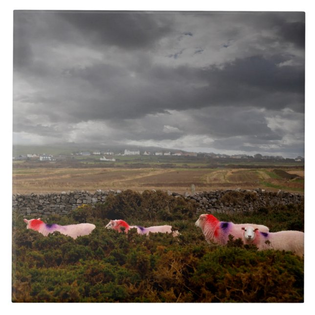 Colourful sheep tile (Front)