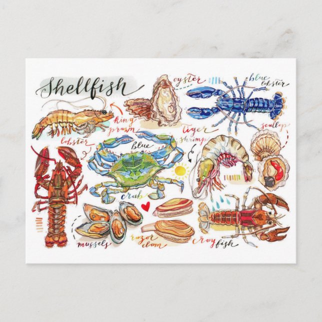Colourful Shellfish Postcard (Front)