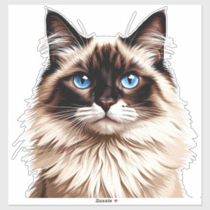Colourful Siamese Cat Illustration