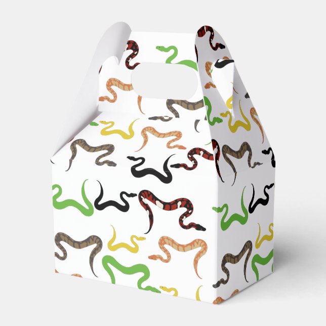 Colourful Snakes Python Reptile Pattern  Favour Box (Front Side)