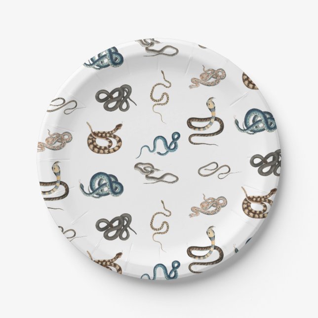 Colourful Snakes Reptile Animal Pattern Paper Plate (Front)