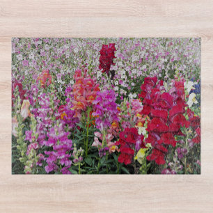 Colourful Snapdragon Garden Floral Cutting Board