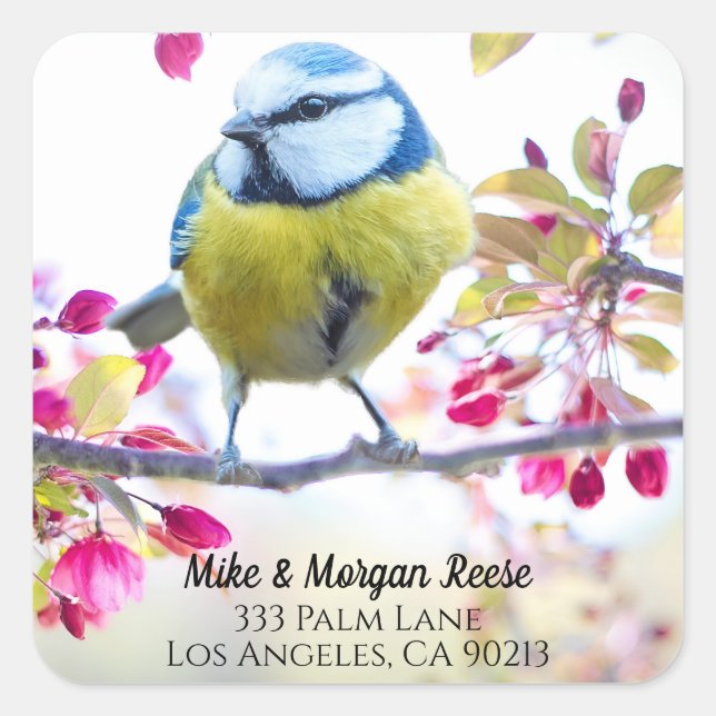 Colourful Songbird & Spring Blossoms, Address Labe Square Sticker (Front)