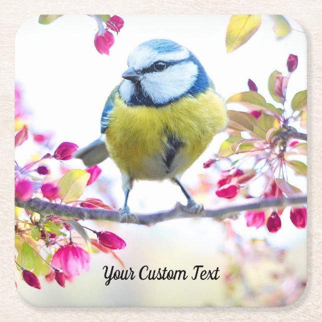 Colourful Songbird & Spring Blossoms, Your Message Square Paper Coaster (Front)