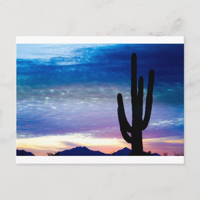 Colourful Southwest Desert Sunrise Postcard (Front)