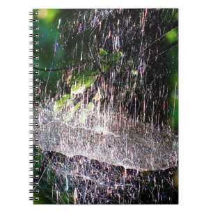 Colourful, sparkling spidernet notebook