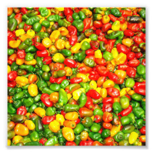 Colourful spicy chilli pattern photo print