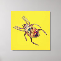 Colourful Spider arachnid art