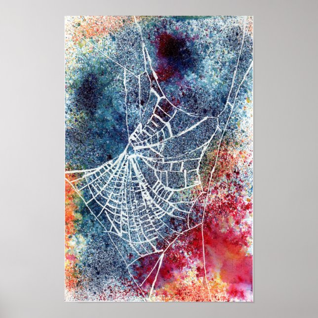 colourful spider web poster (Front)