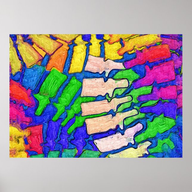 Colourful Spine Art Poster (Horizontal) (Front)