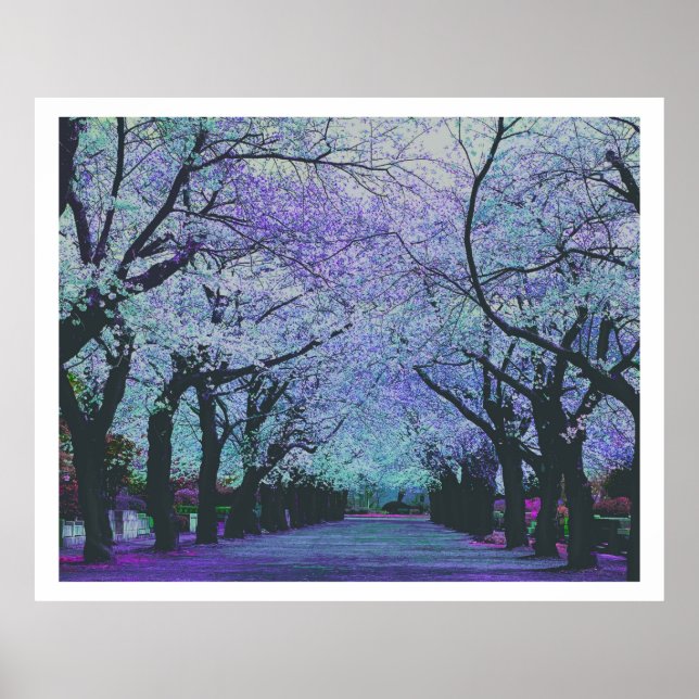 Colourful Spring Blossom Park Landscape Poster (Front)