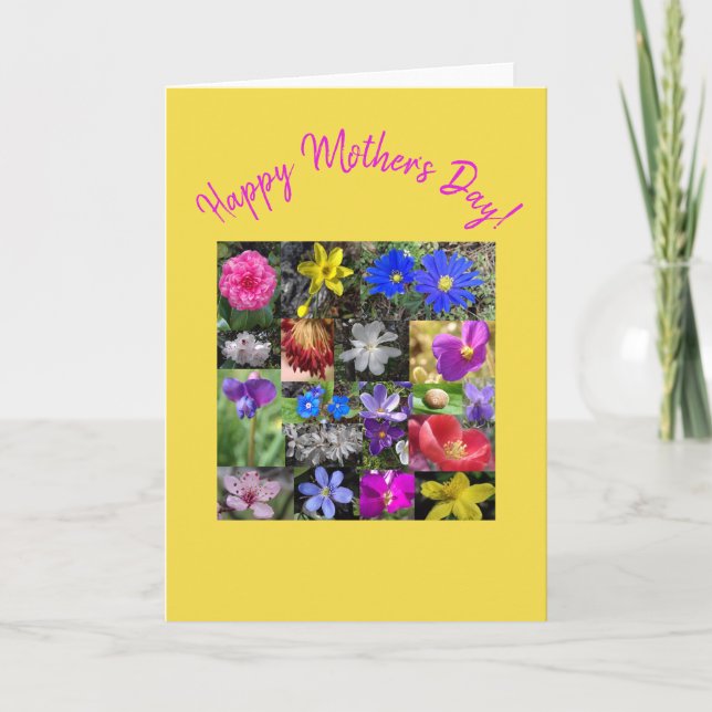 colourful spring - card (Front)