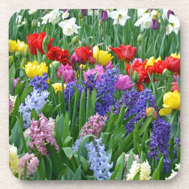 Colourful spring flower garden coaster (Front)
