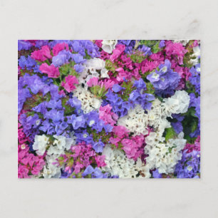 Colourful spring flowers postcard