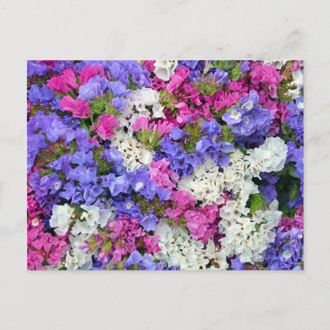 Colourful spring flowers postcard (Front)