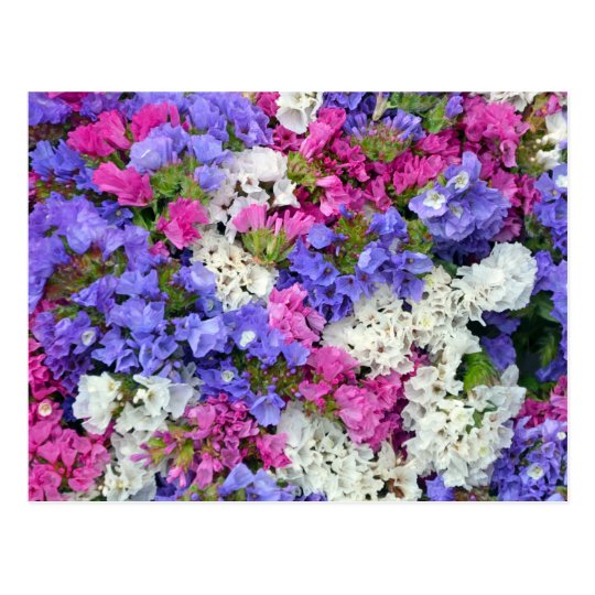 Colourful spring flowers postcard