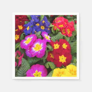 Colourful Spring Medley of Primulas Flowers Napkin