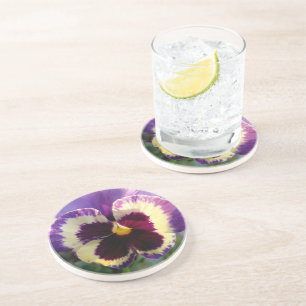colourful spring Pansy Coaster