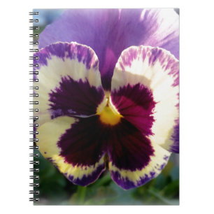 colourful spring Pansy Notebook