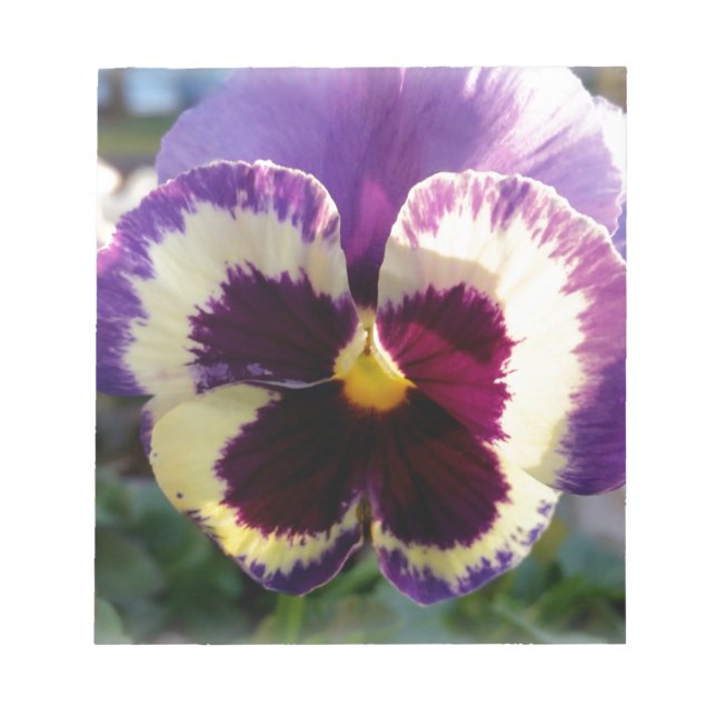 colourful spring Pansy Notepad (Front)