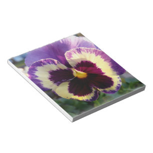 colourful spring Pansy Notepad