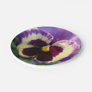 colourful spring Pansy Paper Plate