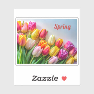 Colourful Spring Tulips Border Floral Nature