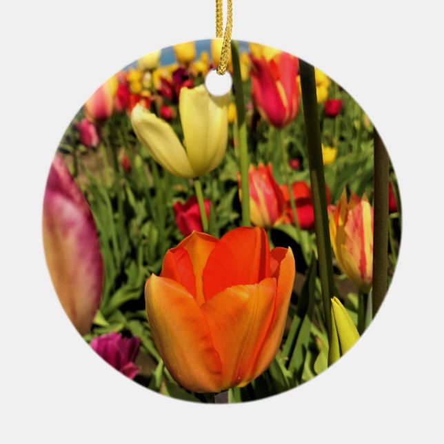 Colourful Spring Tulips Ceramic Tree Decoration (Front)