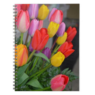 Colourful spring tulips notebook