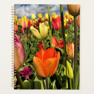 Colourful Spring Tulips Planner