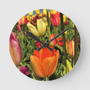 Colourful Spring Tulips Round Clock