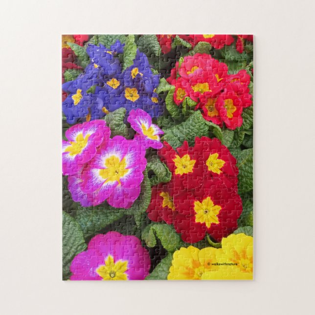 Colourful Springtime Floral Medley of Primulas Jigsaw Puzzle (Vertical)
