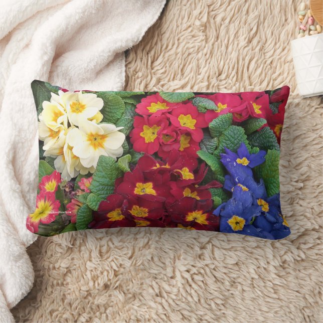 Colourful Springtime Medley of Primulas Lumbar Cushion (Blanket)