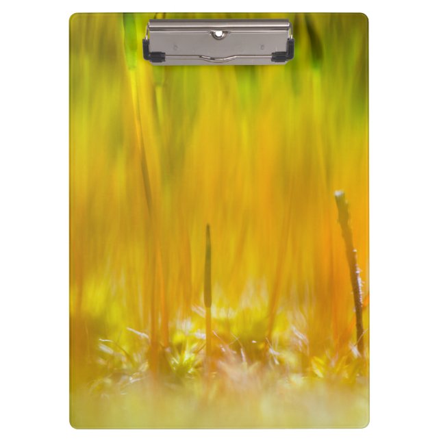 Colourful sprouts clipboard (Front)