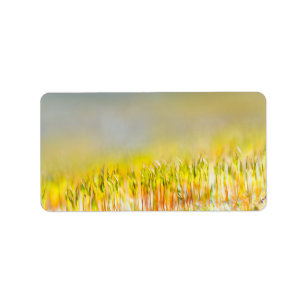 Colourful sprouts label