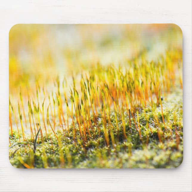 Colourful sprouts mouse mat (Front)
