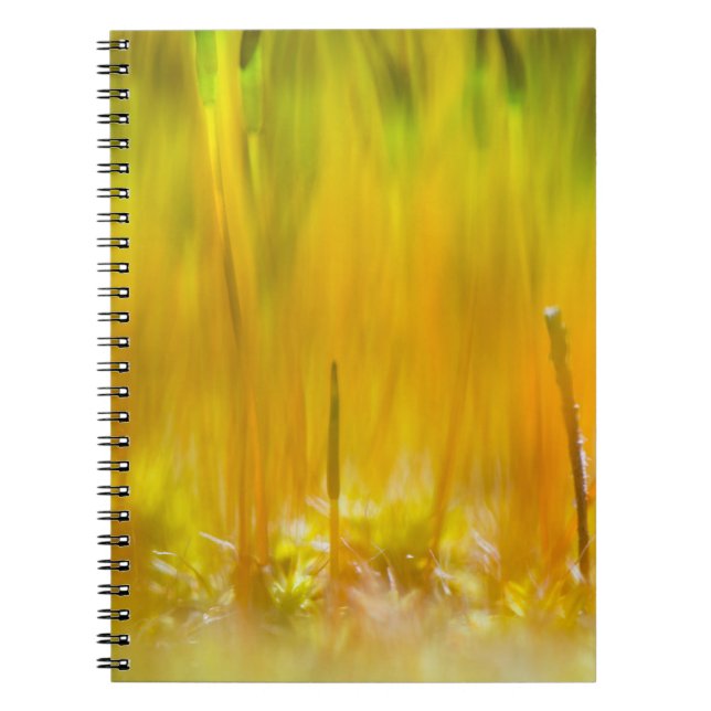 Colourful sprouts notebook (Front)
