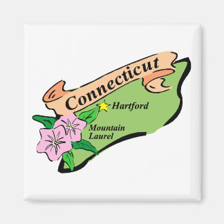 Colourful State of Connecticut Map Tees, Gifts Magnet